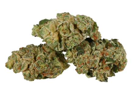 SuperFlower - Buns N' Roses - Image 3