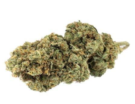 MSIKU - Star Struck Satvia 3.5g