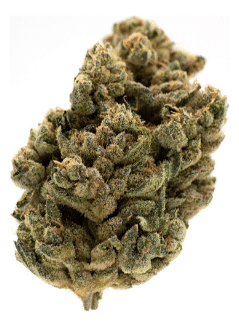 MTL Cannabis - Jungl' Cake Sativa 3.5g - Image 2