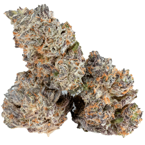 Coterie - Oreoz Breath Hybrid 3.5g - Image 2