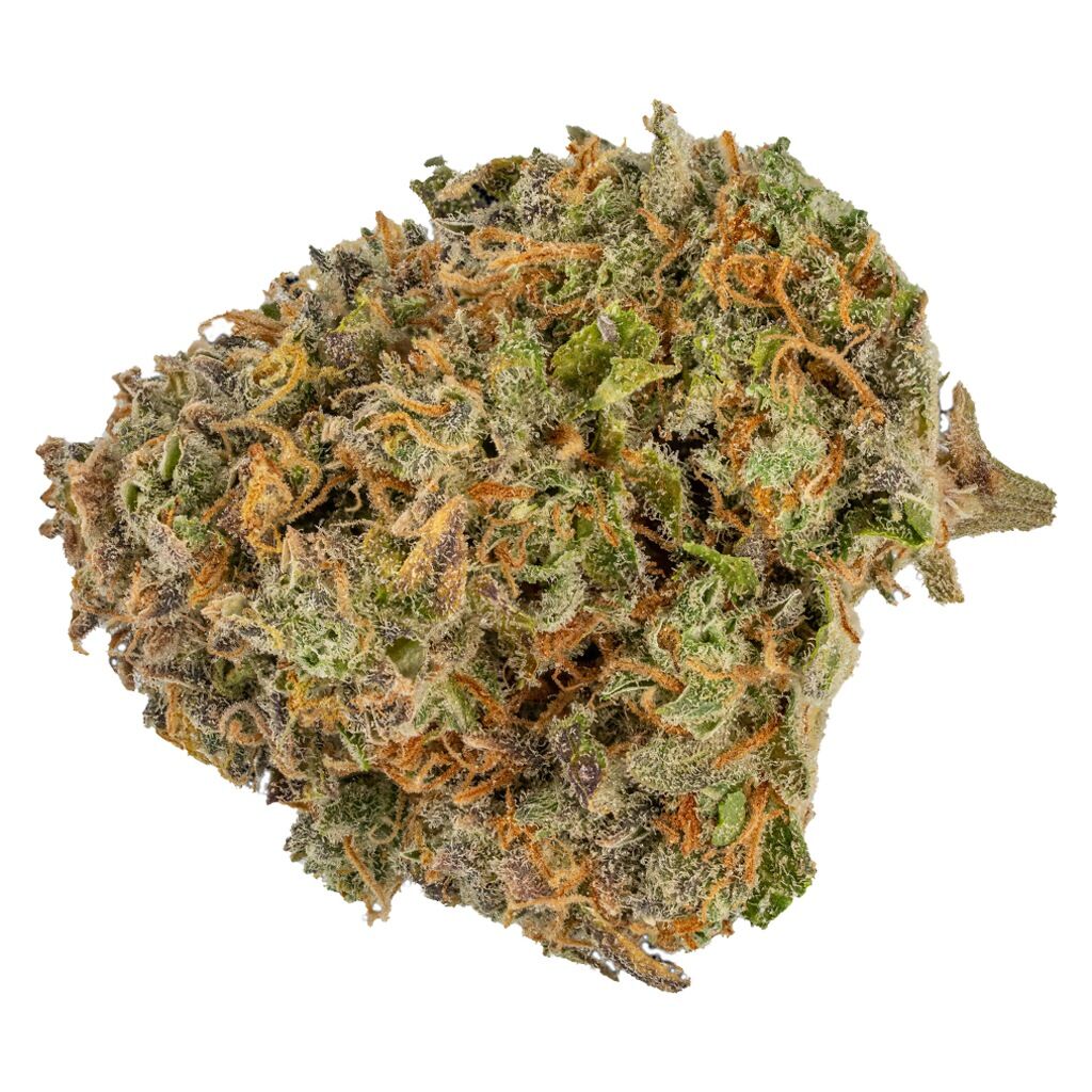 Muskoka Grown - Blue Gorilla - Image 2