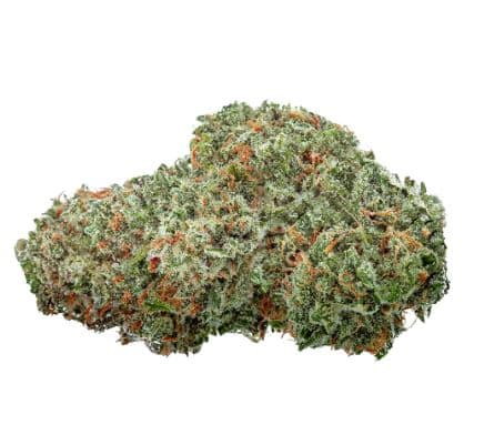 Highly Dutch Organic - Amsterdam Sativa - Image 5