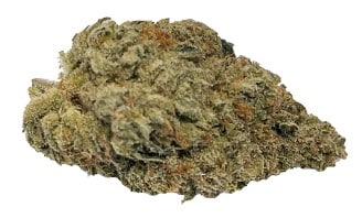 Truro - Donair Kush Indica 3.5g