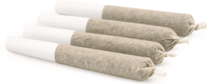 Top Leaf - Golden Spiceberry Kush - Image 2