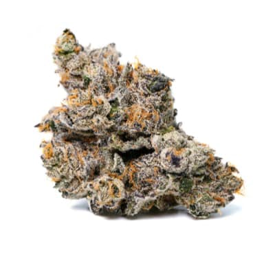 LOT420 - Off Menu