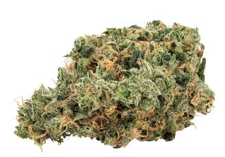 Big Bag O' Buds - Ultra Jean-G Sativa 28g