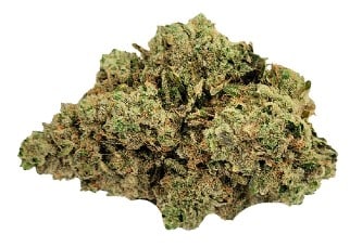 Truro - Sleeping With The Stars Indica - Image 4