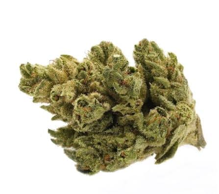 Tantalus Labs - Pacific OG Sativa 3.5g