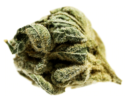 Potluck - Pineapple Express