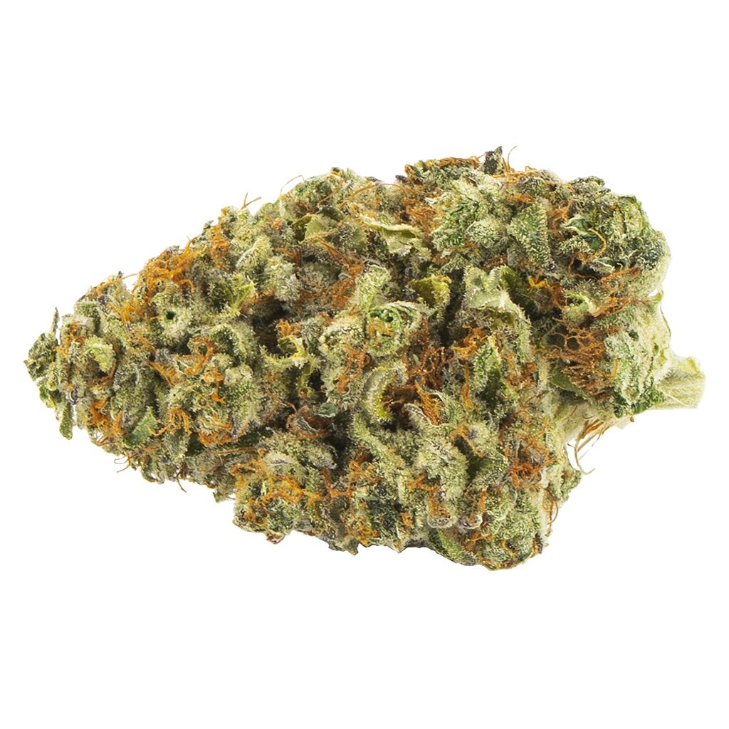 Palmetto - Headband