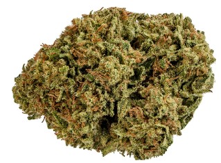 Jonny Chronic - Cherry Bomb Sativa - 14g