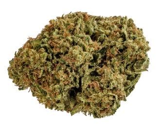 Jonny Chronic - Cherry Bomb Sativa