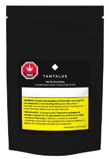 Tantalus - Mai Tai x Zero Gravity Glass Tip Pre Roll Sativa 1x1g - Image 2