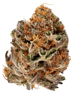 3Saints - Crumbled Lime Sativa Group - Image 2