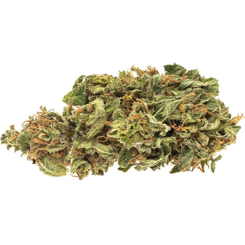 RIFF - Sweet Jersey 3 - Image 2