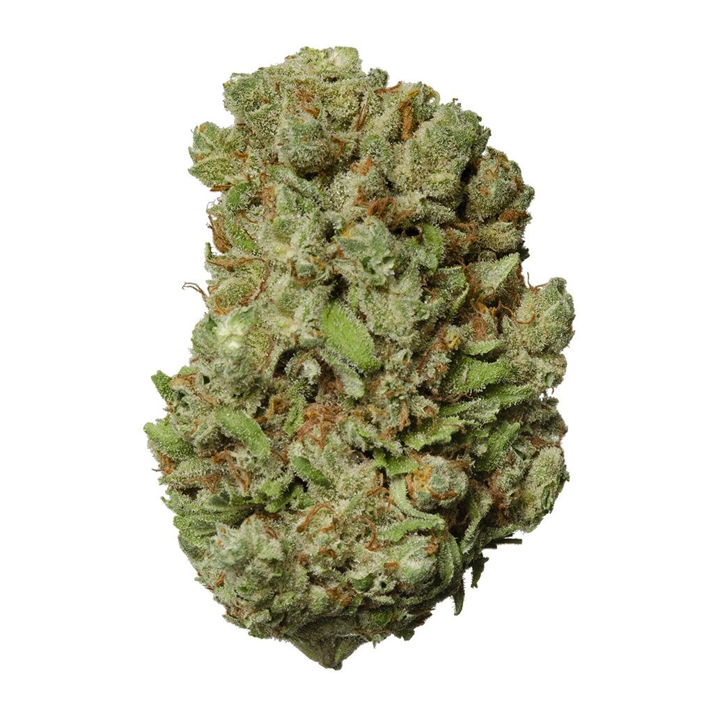 UP - Lemon Haze UP20 - Image 2
