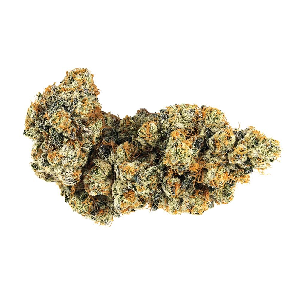 Broken Coast - Gabriola
