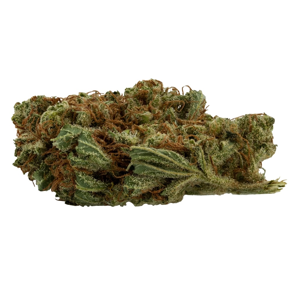 Daily Special - Lemon Haze - Image 2