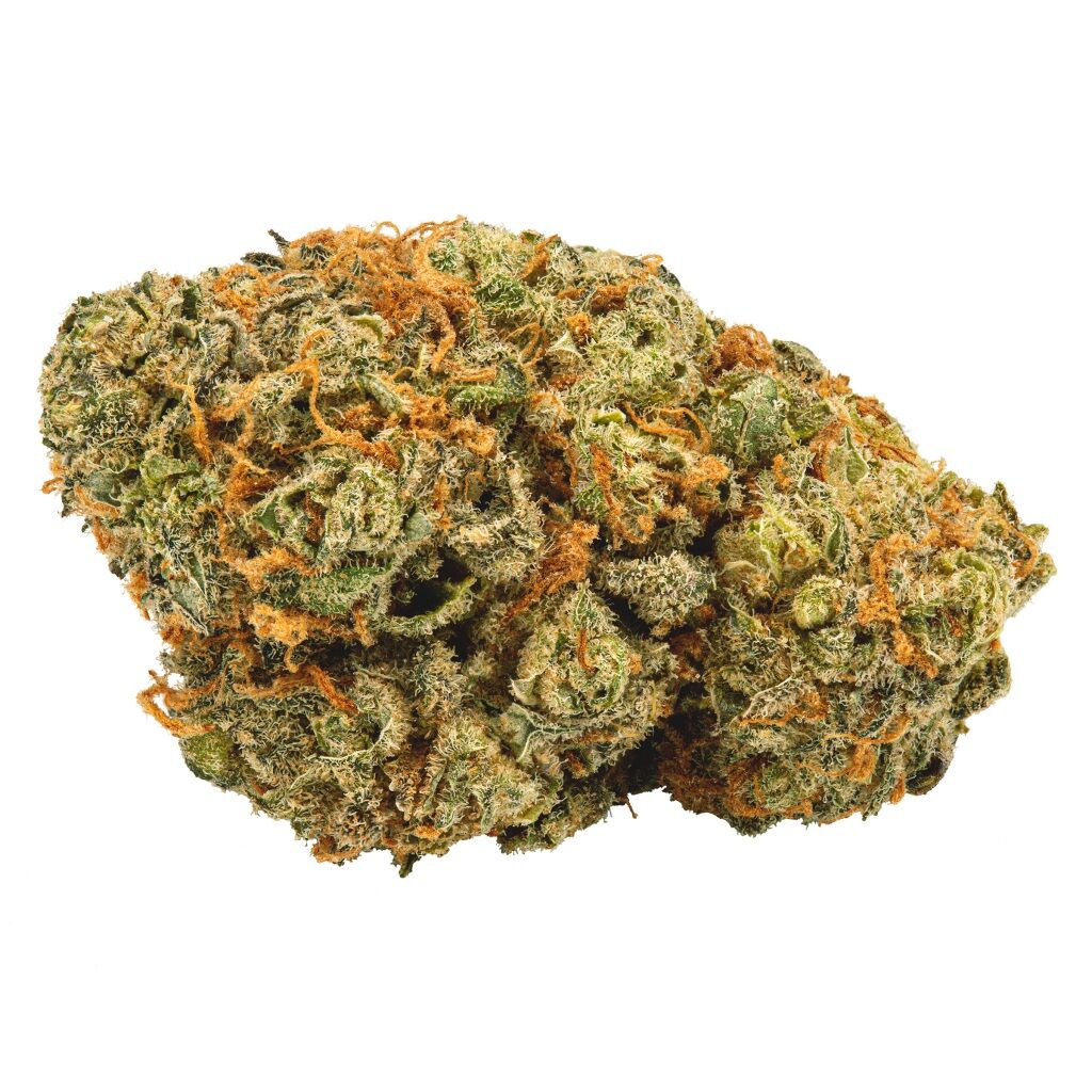 Buds - Critical Mass x Black Domina