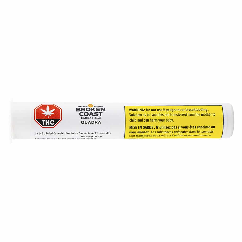 Broken Coast - Quadra Pre-Roll - Image 2