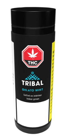Tribal - Gelato Mint Pre-Roll