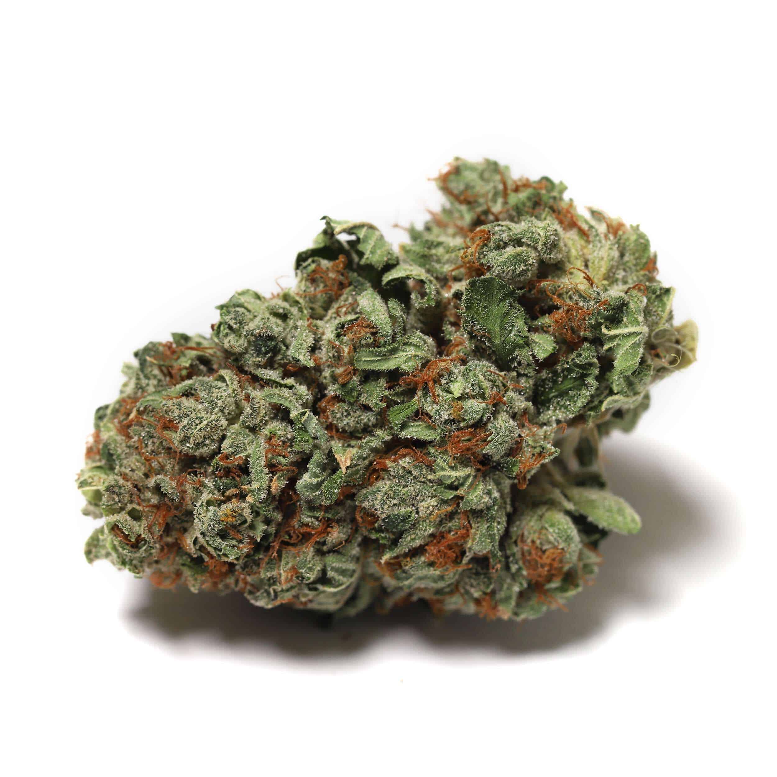 High Tide - Headband - Image 2