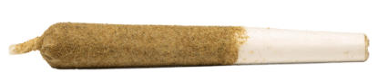 General Admission - Honeydew Boba Distillate-Infused Pre-Roll - Image 2