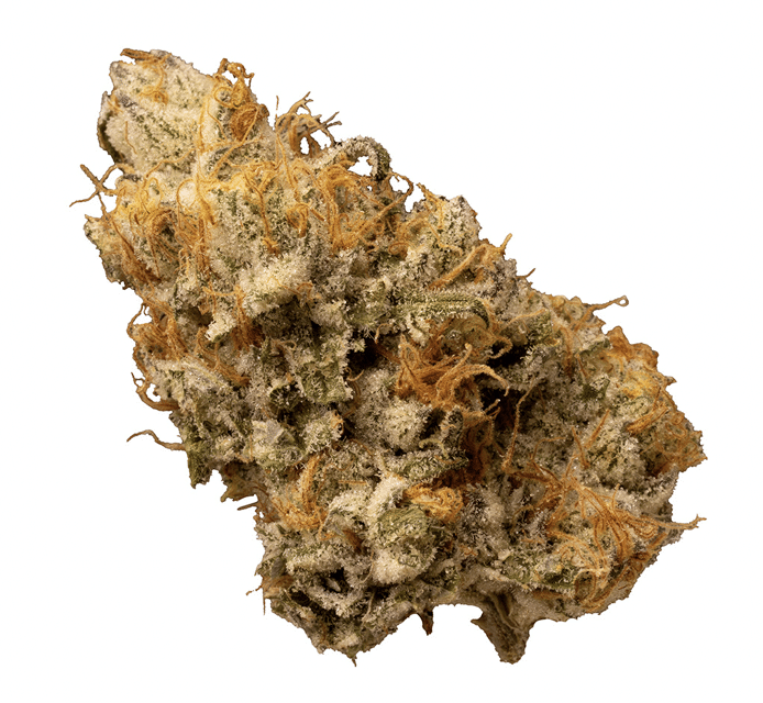 Terpenology - Explore the stars