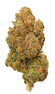 Divvy - Pineapple Nuken Sativa 28g