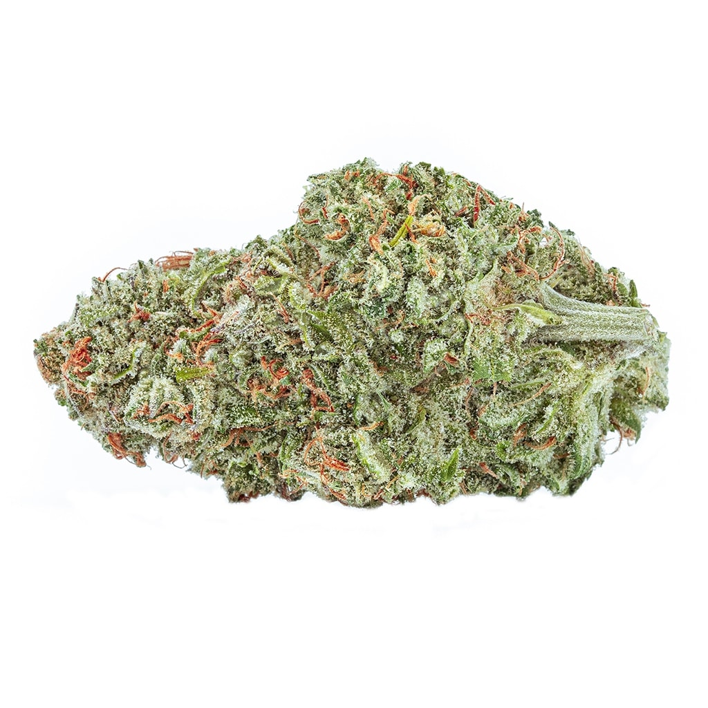 The Green Organic Dutchman - Organic Sugar Bush