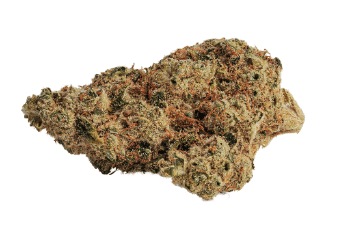 BOLD Growth - Thin Mint GSC x Sunset Sherbet
