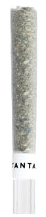 Tantalus - Mai Tai x Zero Gravity Glass Tip Pre Roll Sativa 1x1g