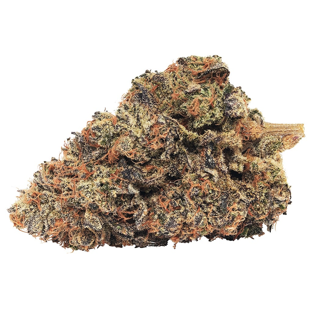 Broken Coast - Saturna - Image 2