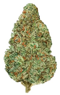 Back Forty - Chemzilla Indica 28g