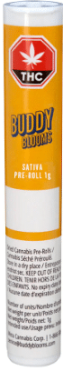 Buddy Blooms - Sativa Pre-Roll - Image 3