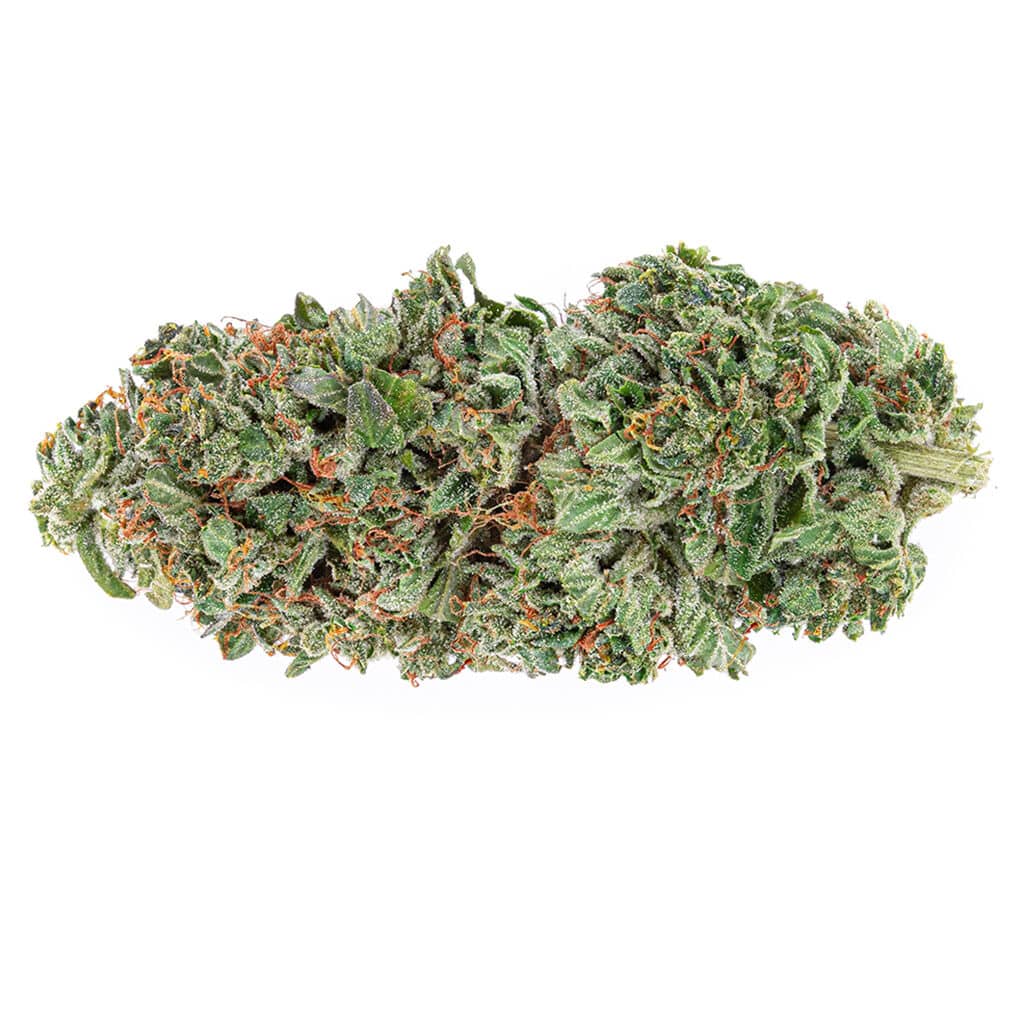 The Green Organic Dutchman - Organic Rockstar Tuna