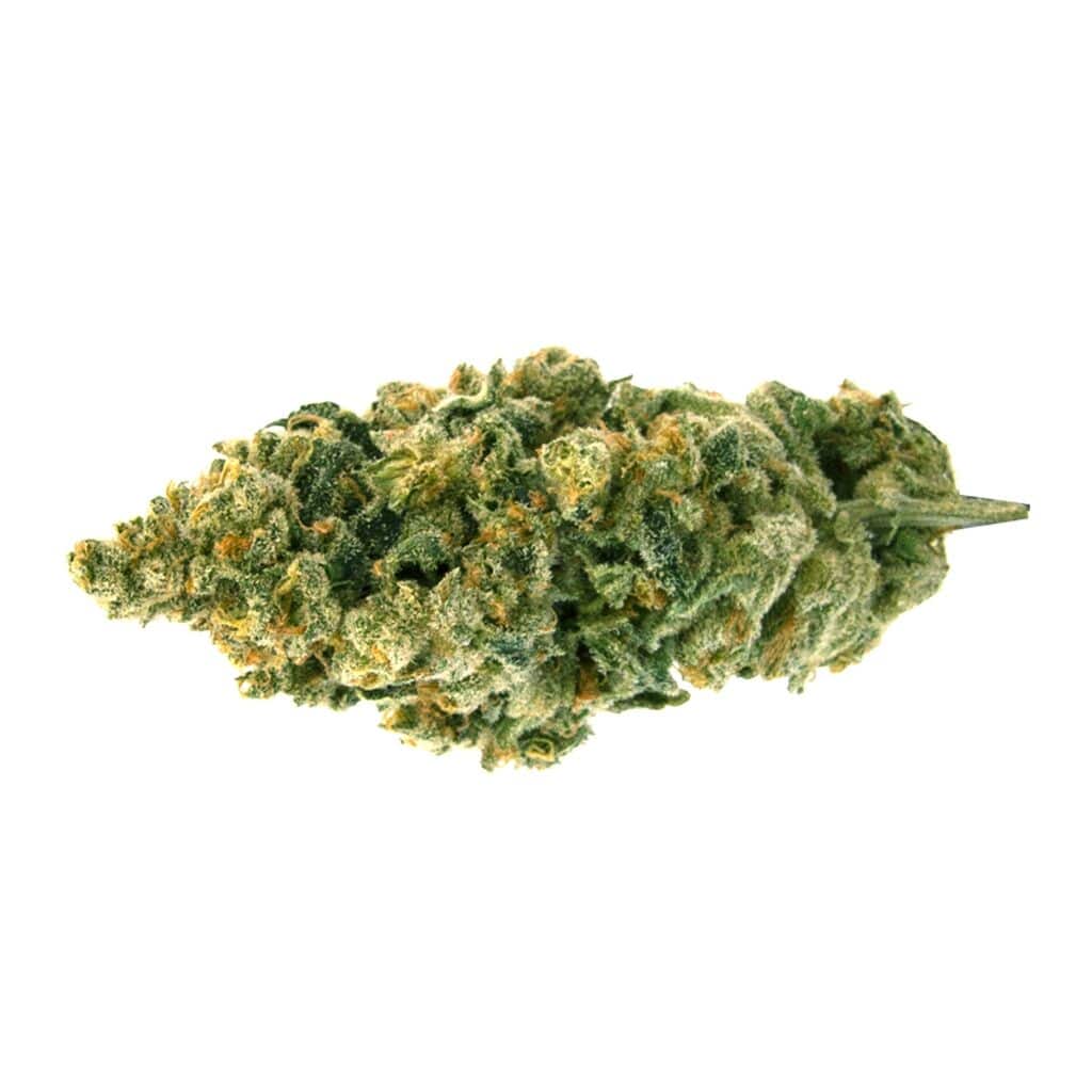 Emerald - Grapefruit GG1 - Image 2