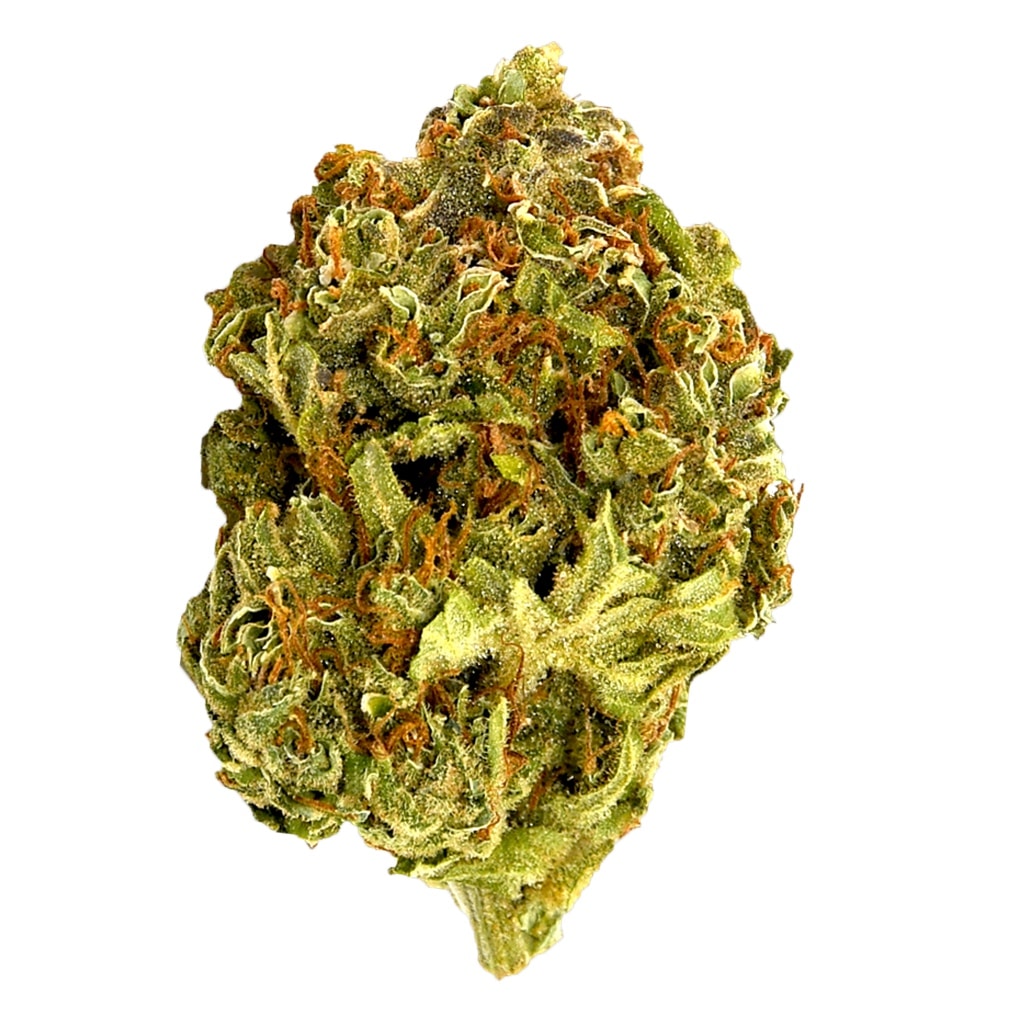 Canna Farms - Tangerine Dream - Image 2