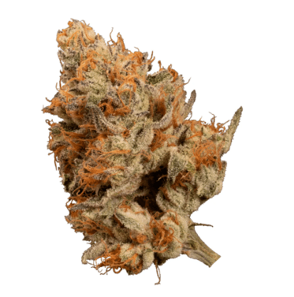 OGEN - Bacio Punch #8