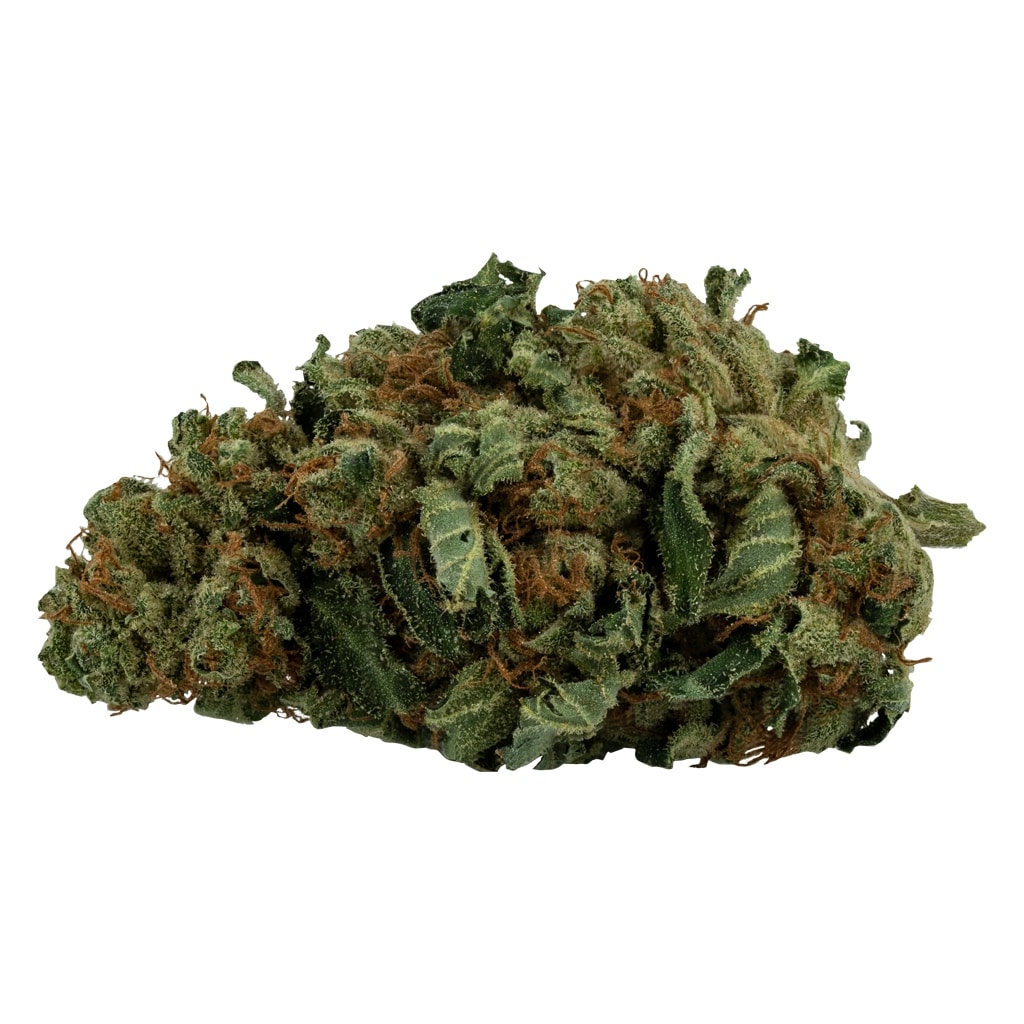 Daily Special - MK Ultra - Image 2