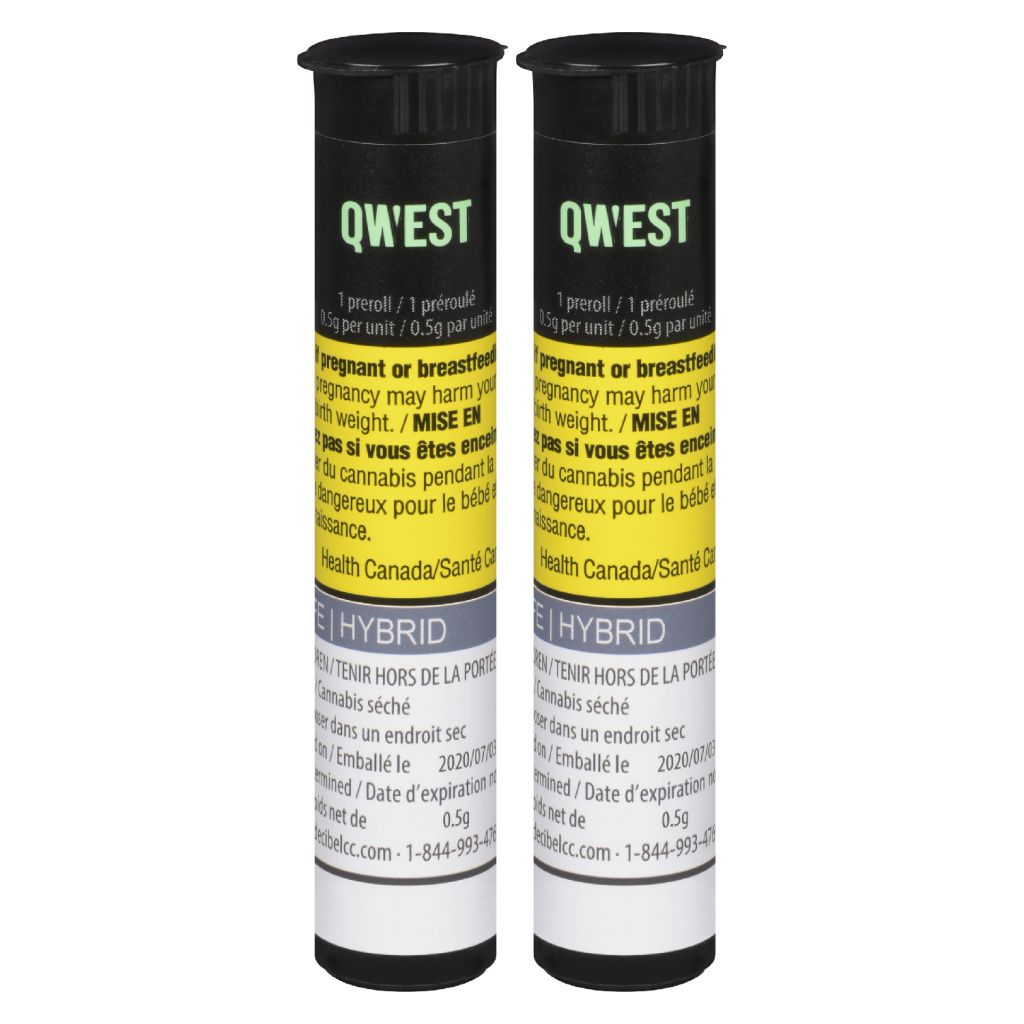 Qwest - Ex-Wife Pre-Roll - Image 2