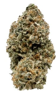 KEFF - Keff Indica 28g