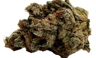 LowKey by MTL Cannabis - El Jefe Indica 7g