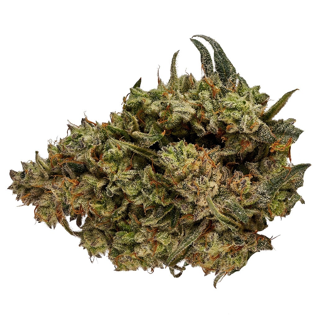 Orchid CBD - CBD Runtz - Image 2