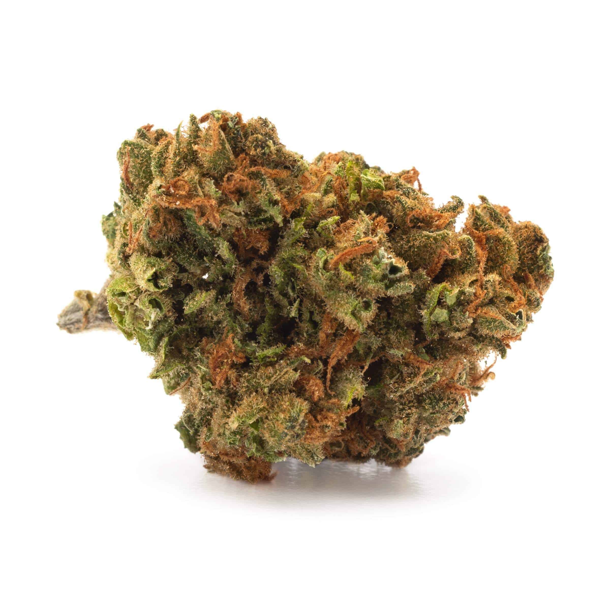 DNA Genetics - Lemon Skunk - Image 4