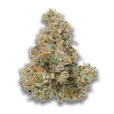 Coast Mountain Cannabis - BC Organic Pemberton Pink