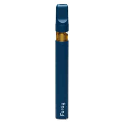 Foray - Indica Blackberry Cream Disposable Pen - Indica 0.3g
