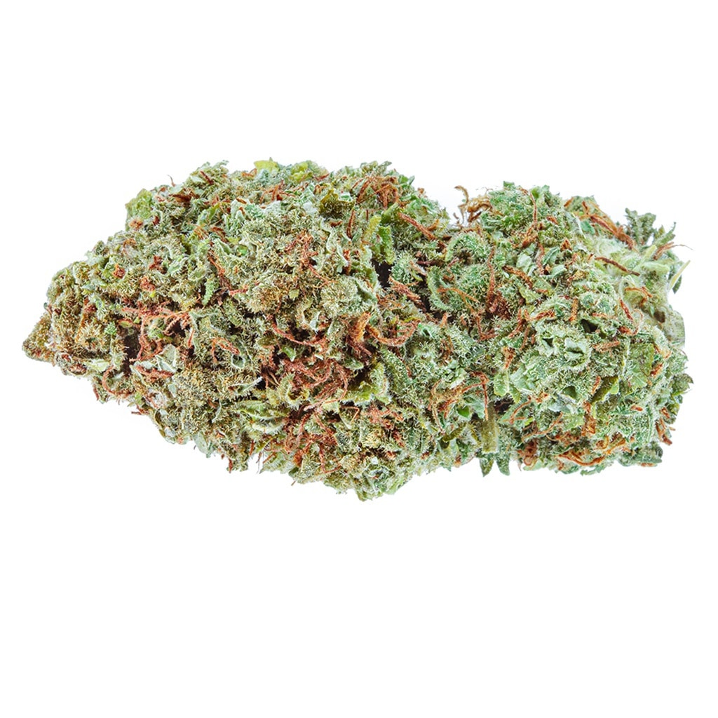 Highly Dutch Organic - Amsterdam Sativa - Image 2