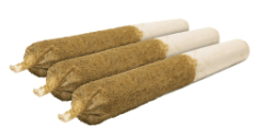 General Admission - Tiger Blood Distillate Infused Pre-Roll Indica
