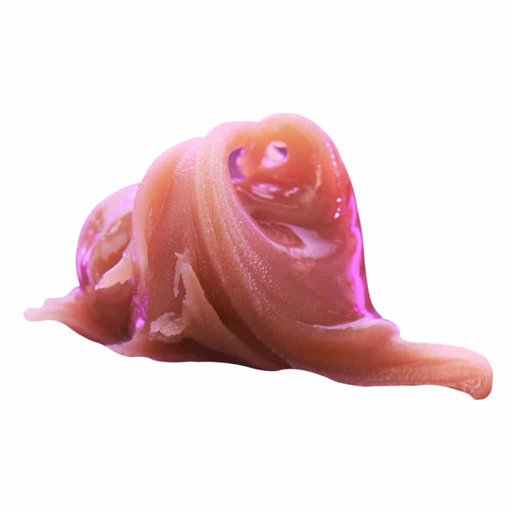 1337 Elite - Kirbypuff Kush (KPK) Rosin - Image 2